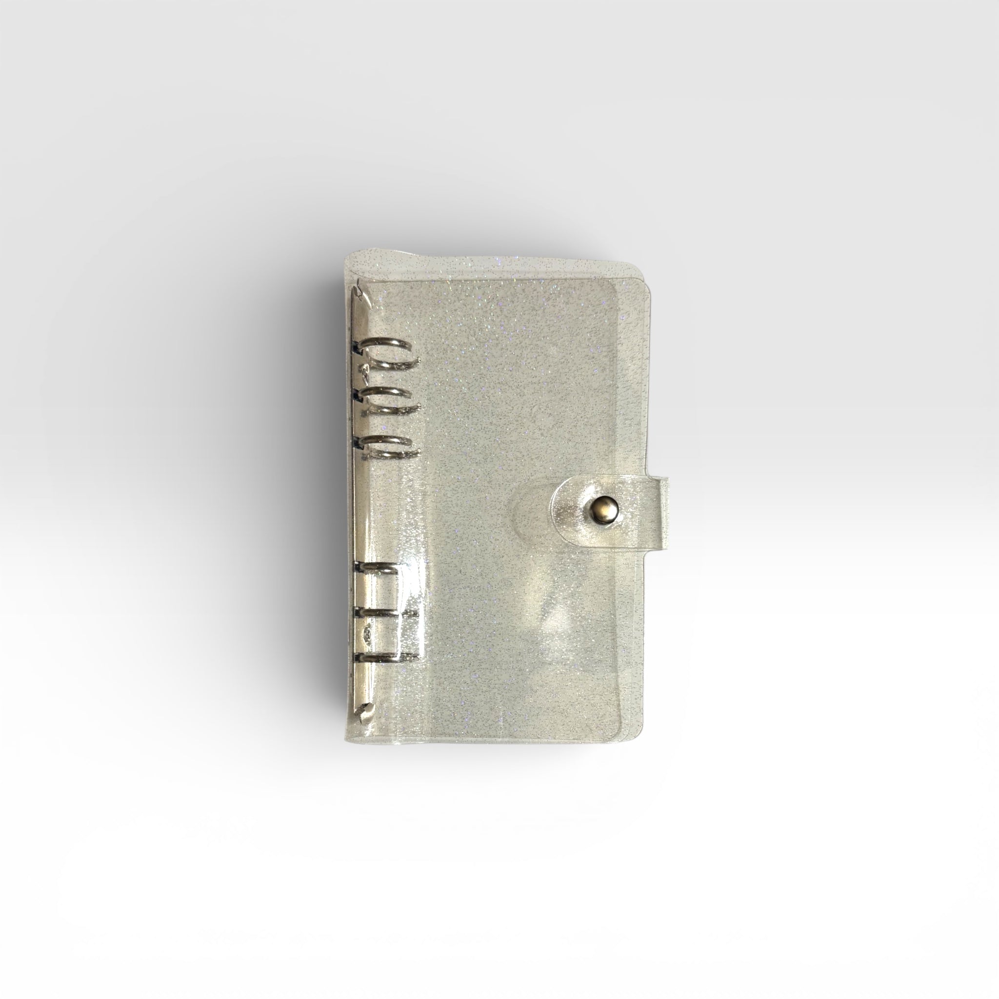 Tattooed Women 2,000 Dollars Savings Challenge, Glitter A6 Budget Binder