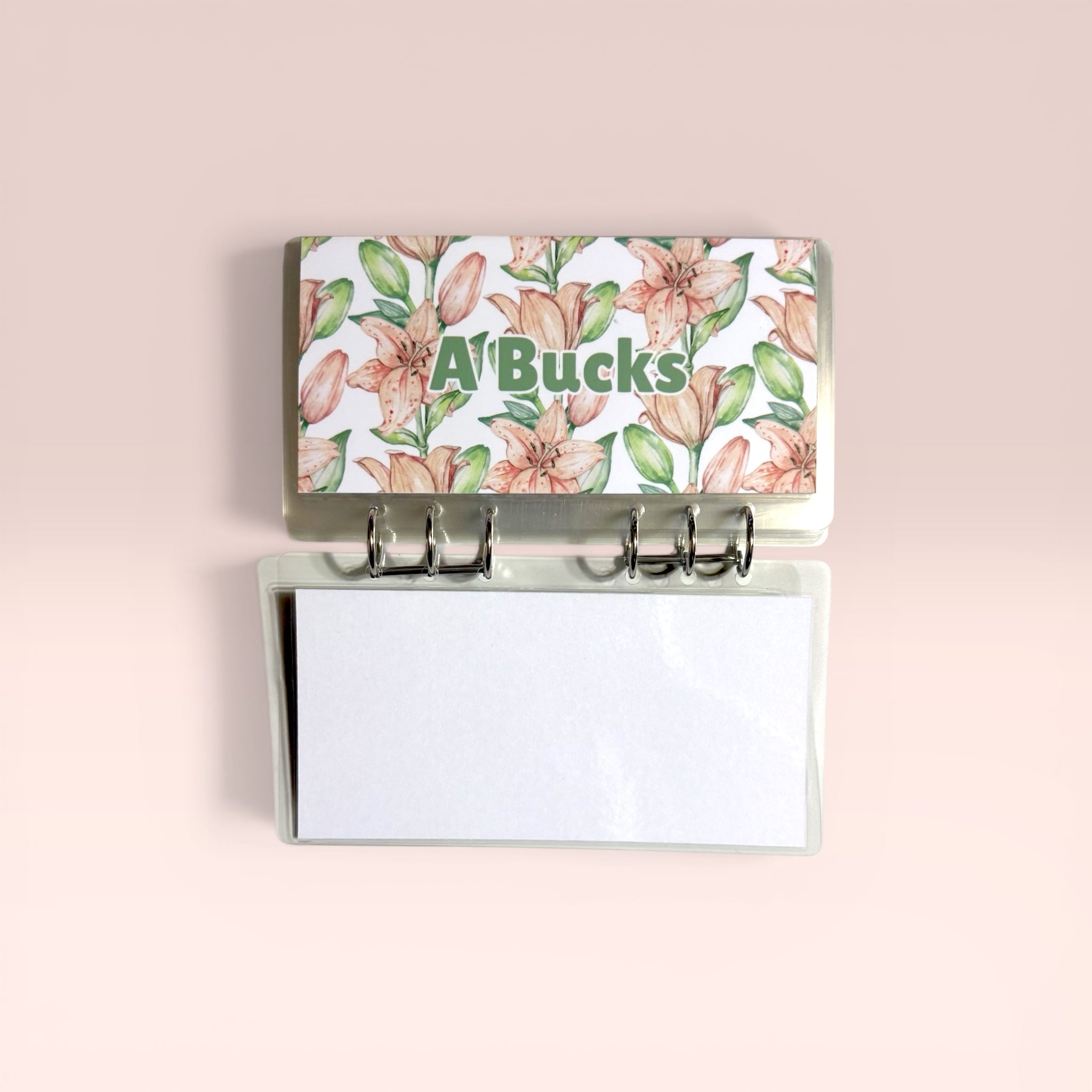 A-L Bucks Saving’s Challenge Binder Set