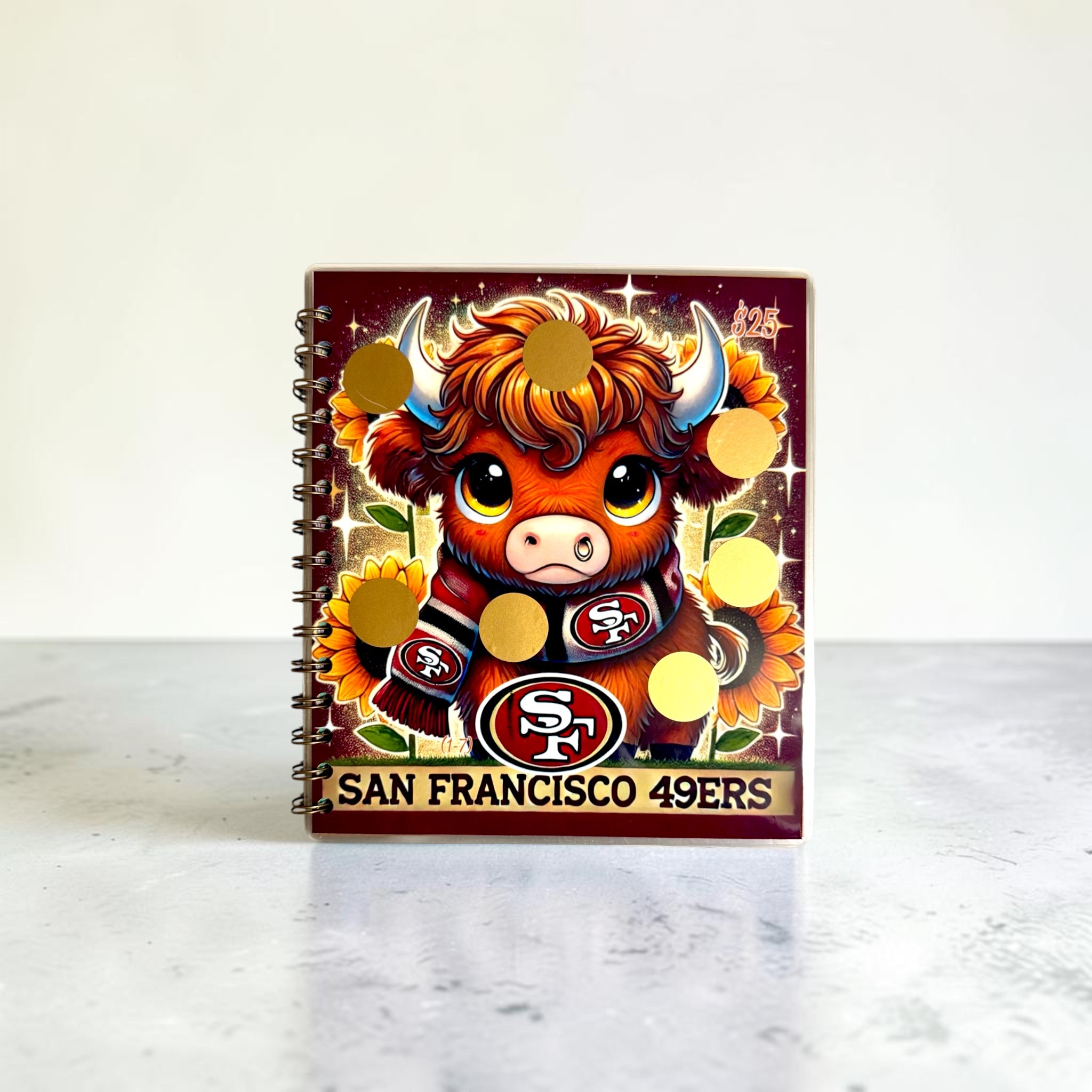 American Football Savings Challenge Book