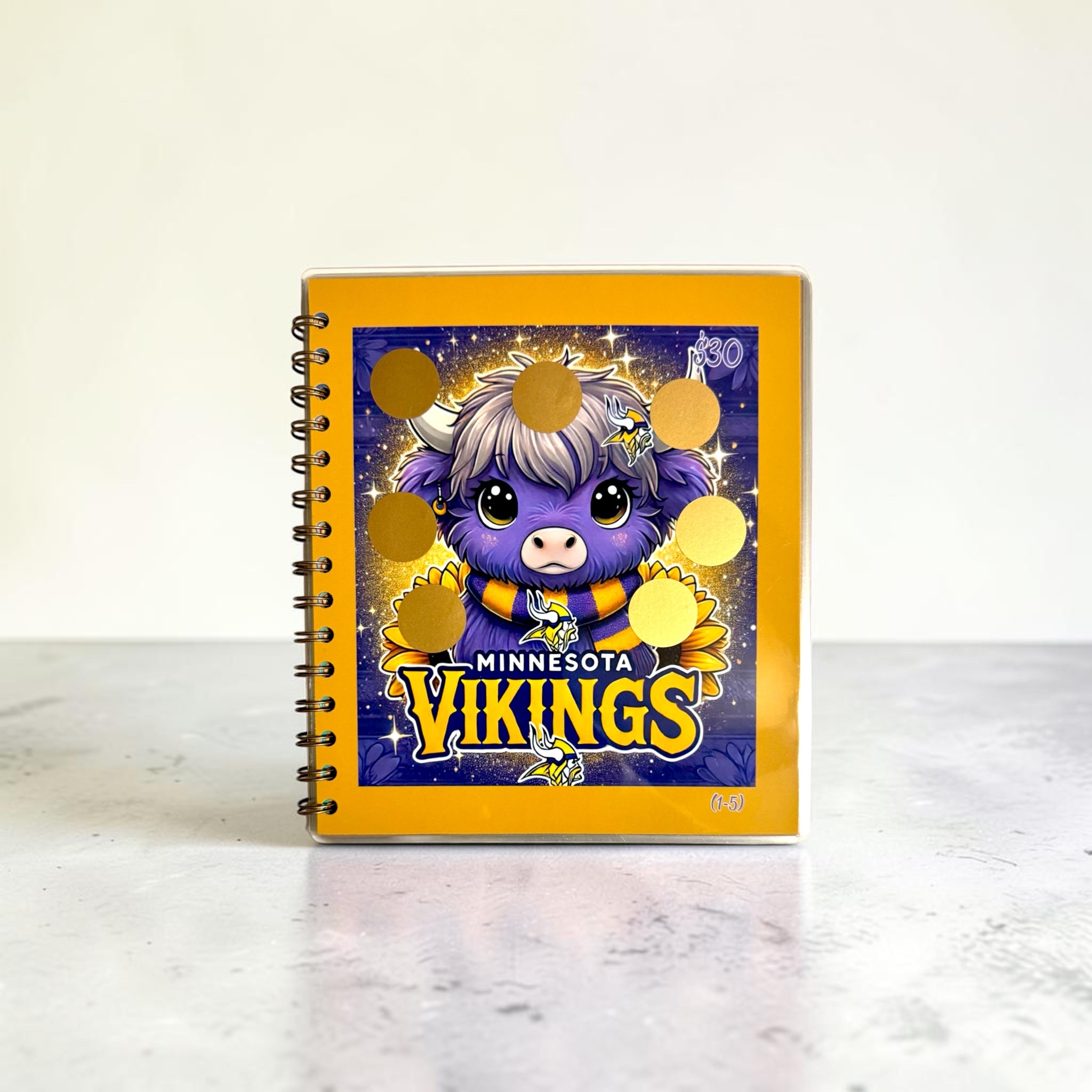American Football Savings Challenge Book