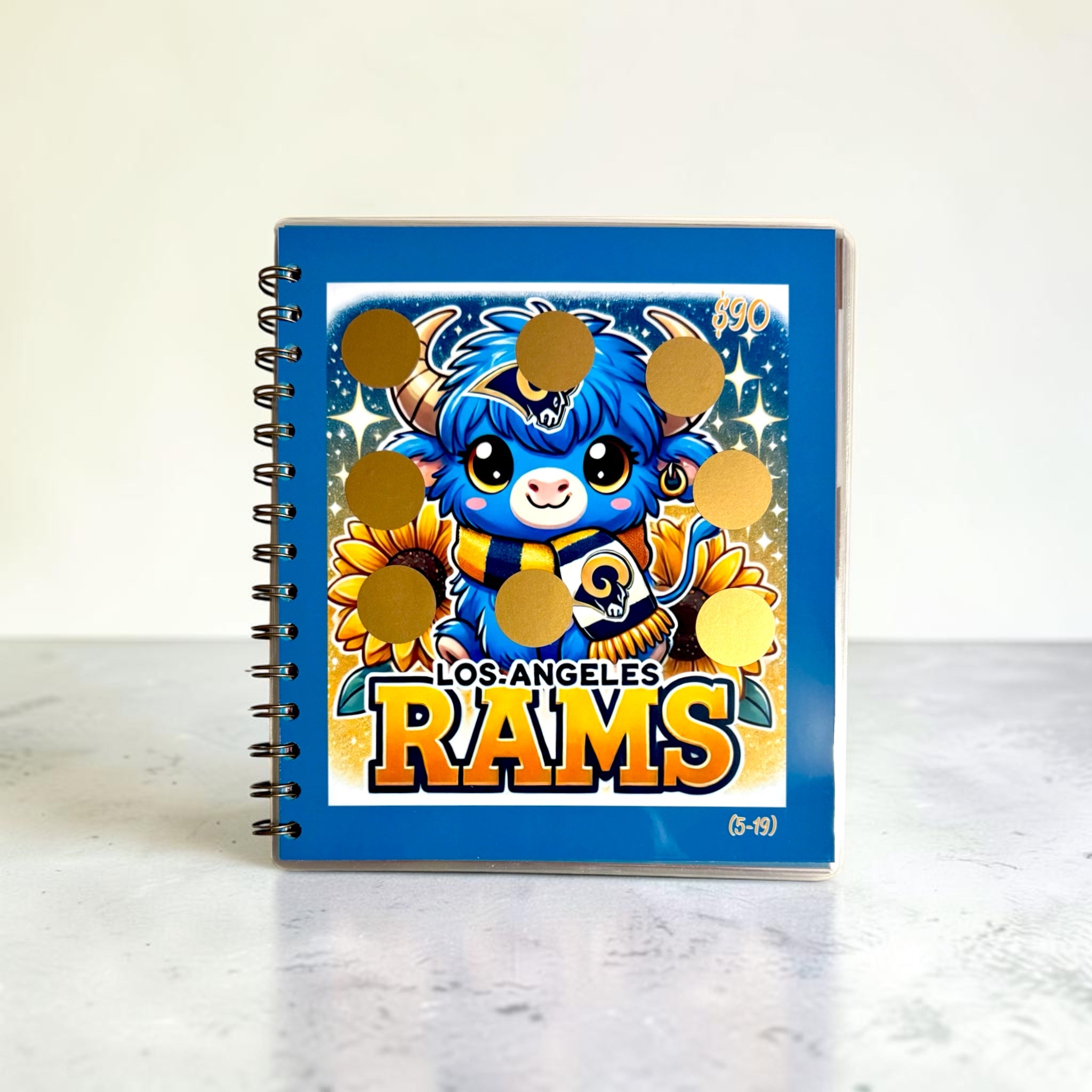 American Football Savings Challenge Book