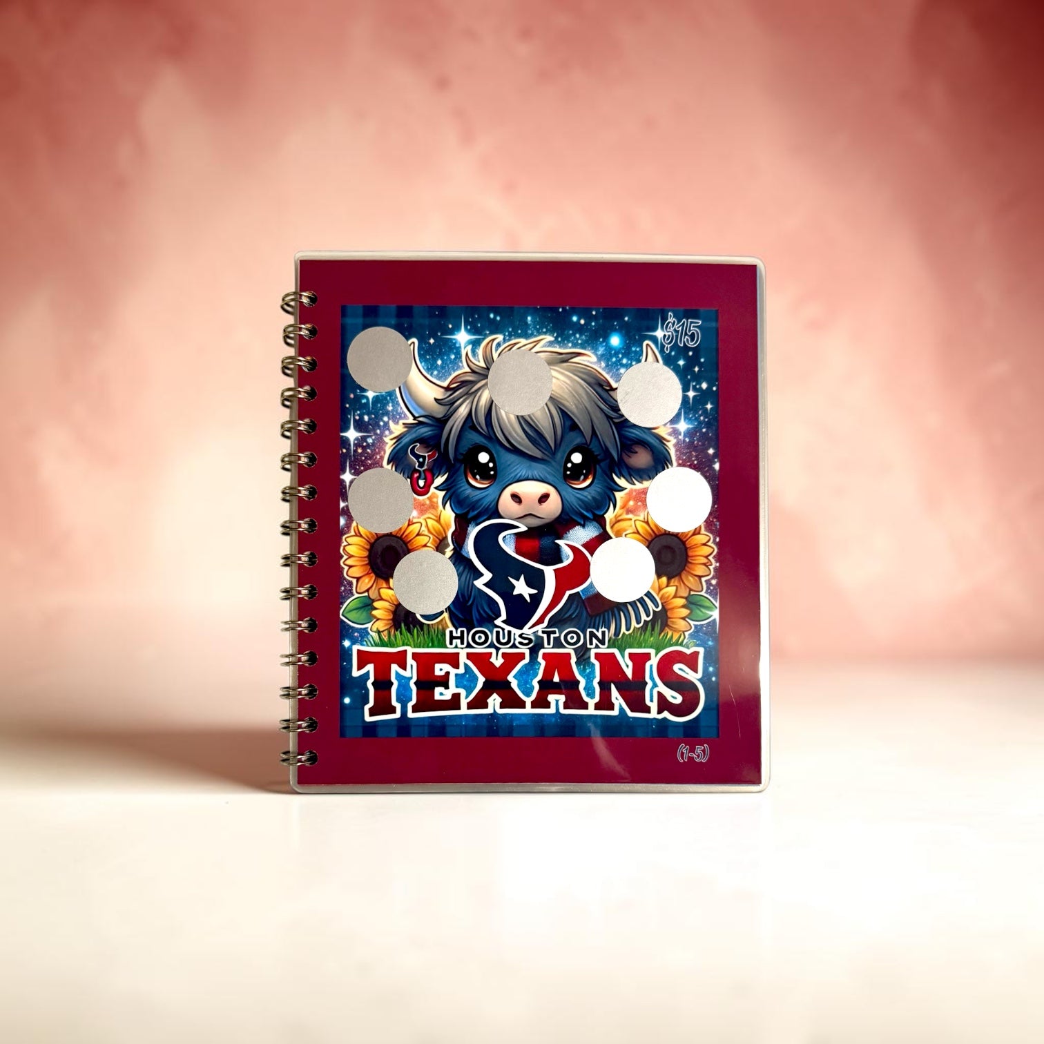 American Football Savings Challenge Book