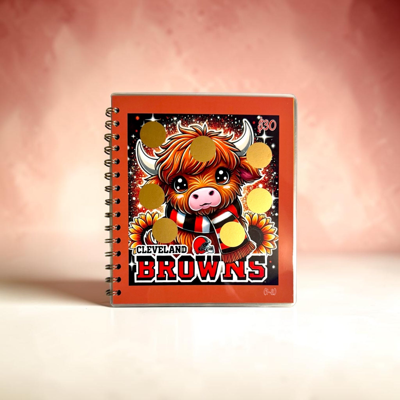 American Football Savings Challenge Book