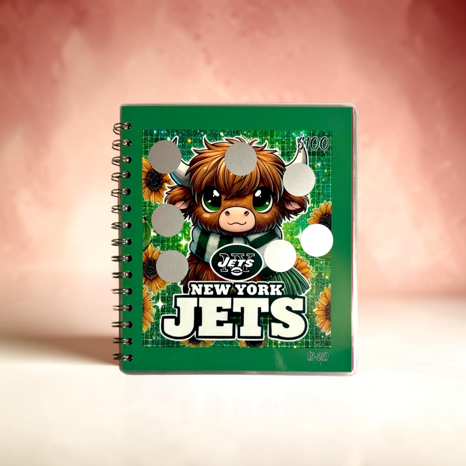 American Football Savings Challenge Book