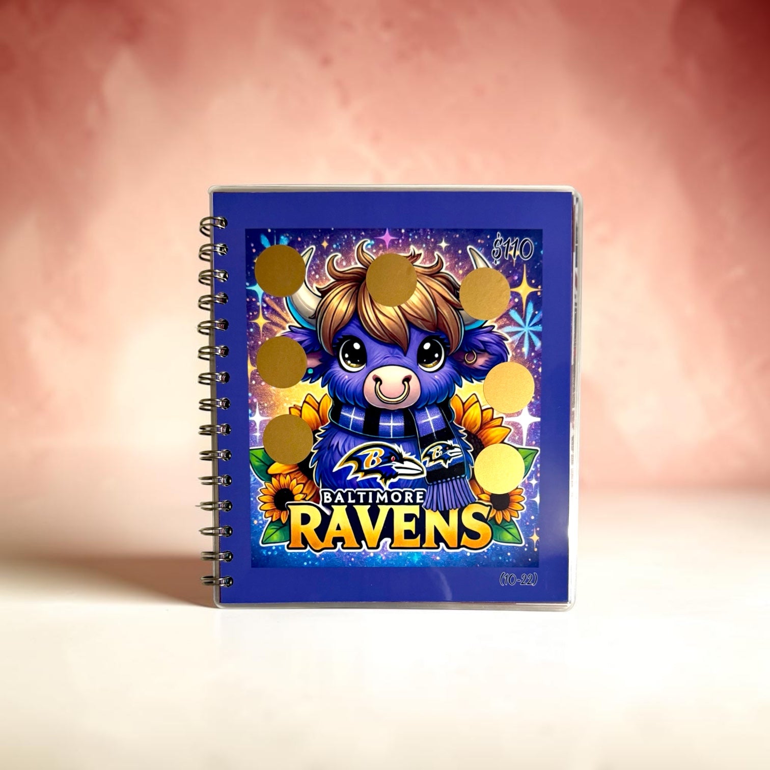 American Football Savings Challenge Book