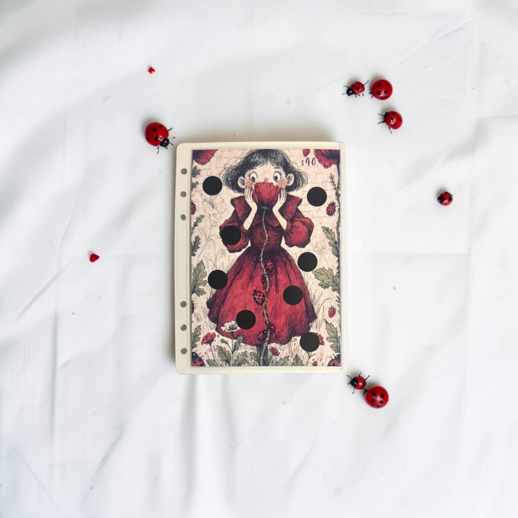 A5 Ladybug Savings Challenge