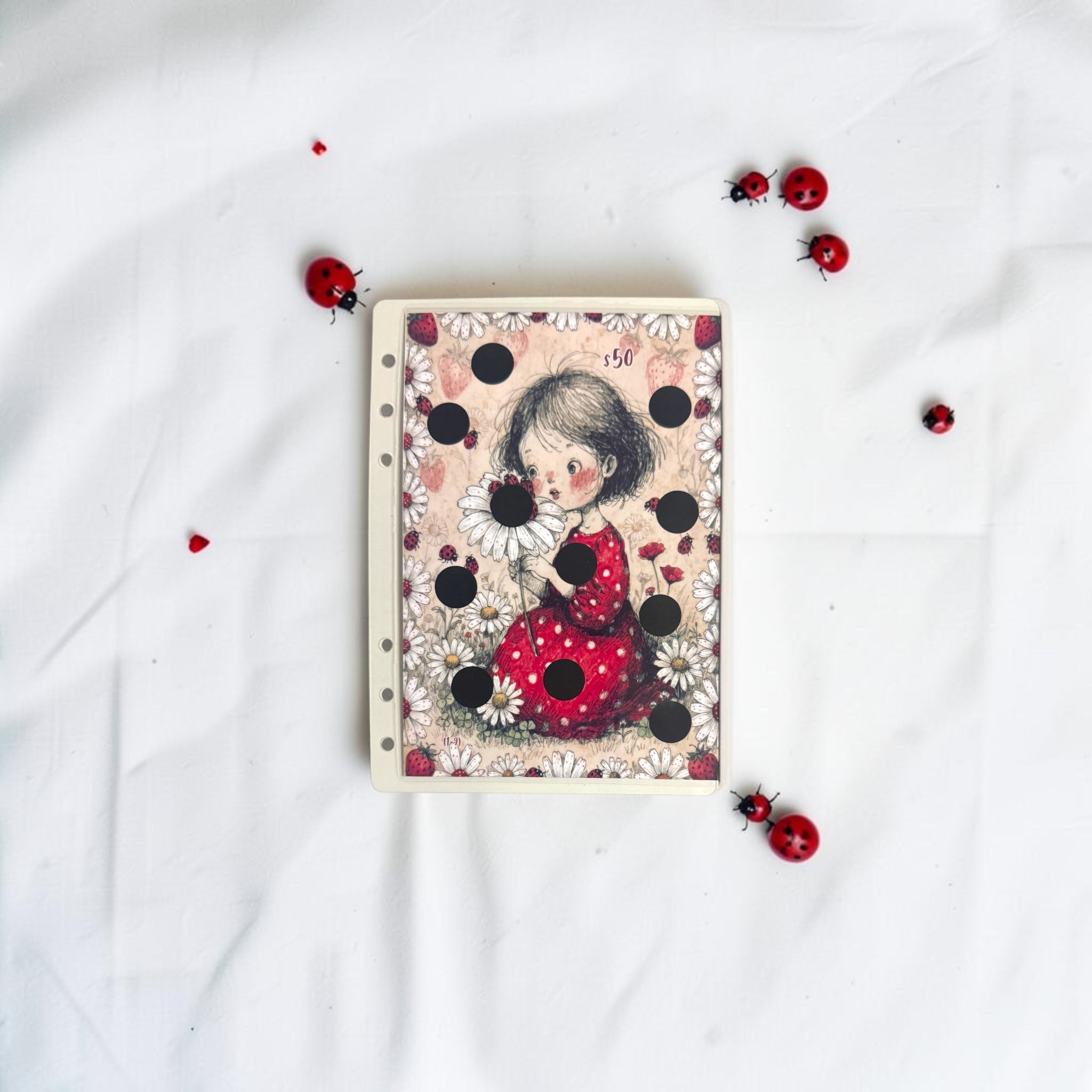 A5 Ladybug Savings Challenge