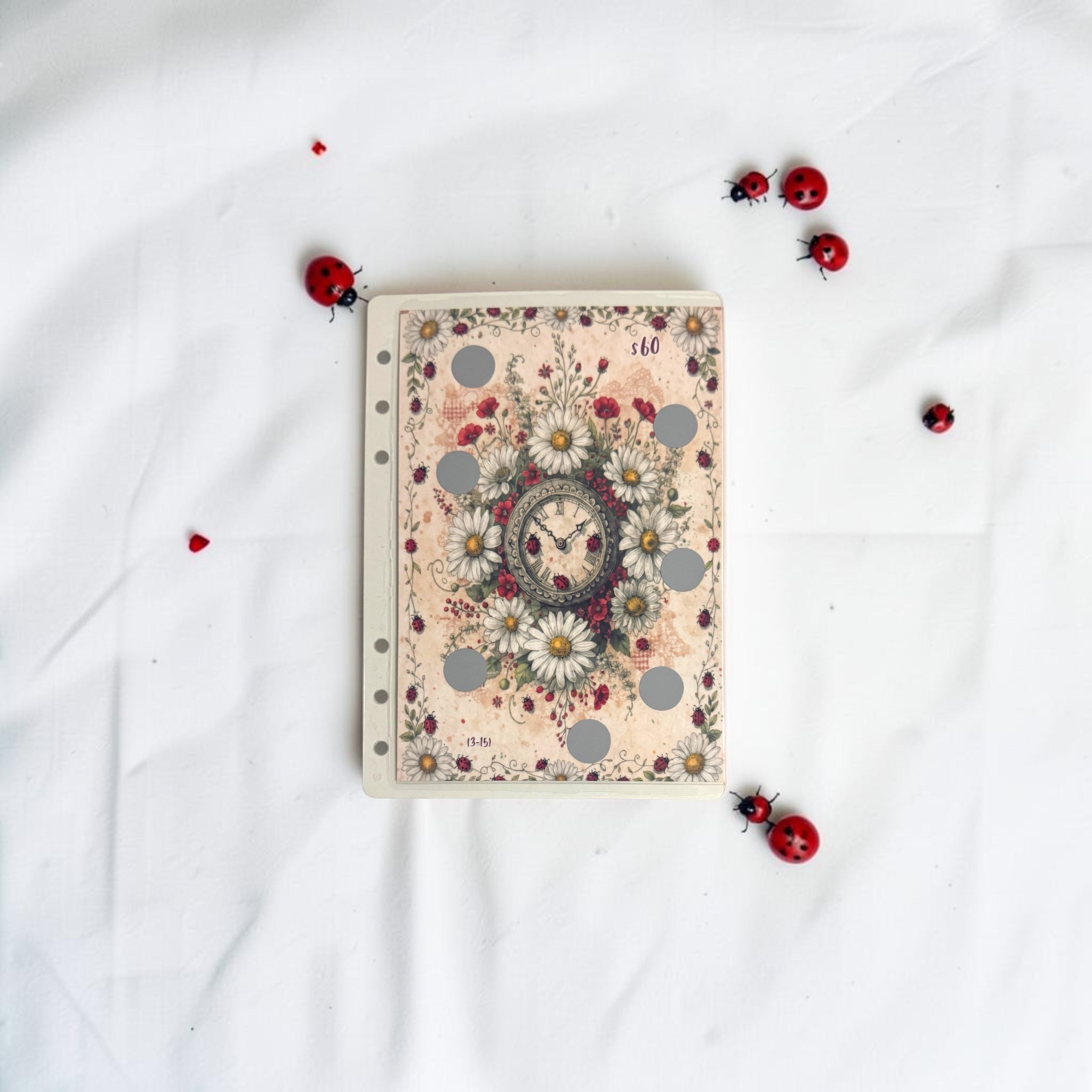 A5 Ladybug Savings Challenge