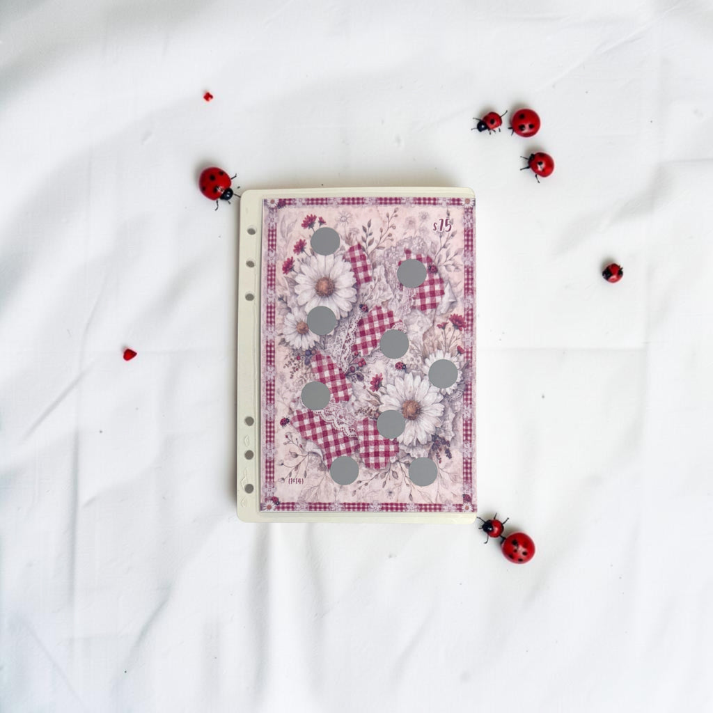 A5 Ladybug Savings Challenge