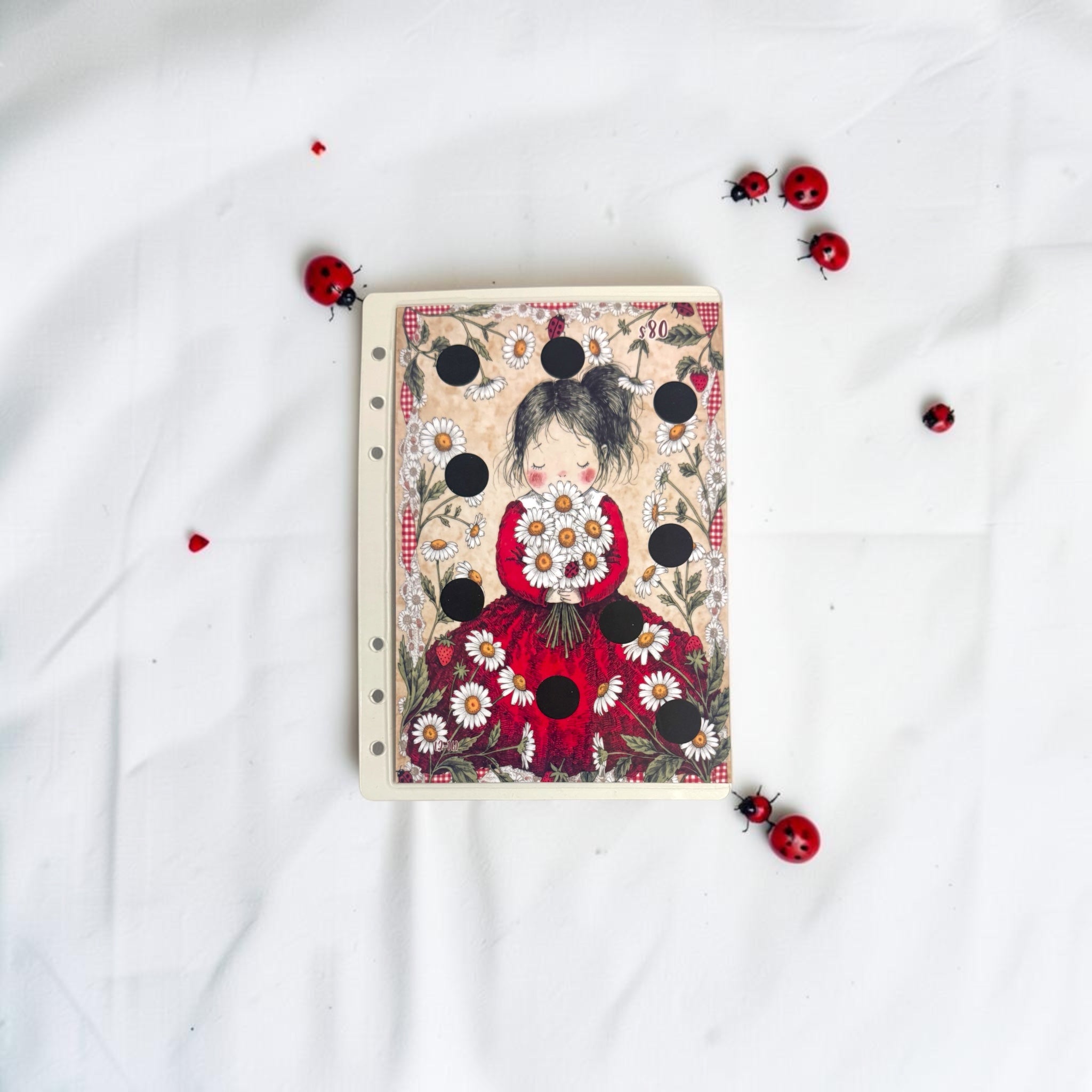 A5 Ladybug Savings Challenge