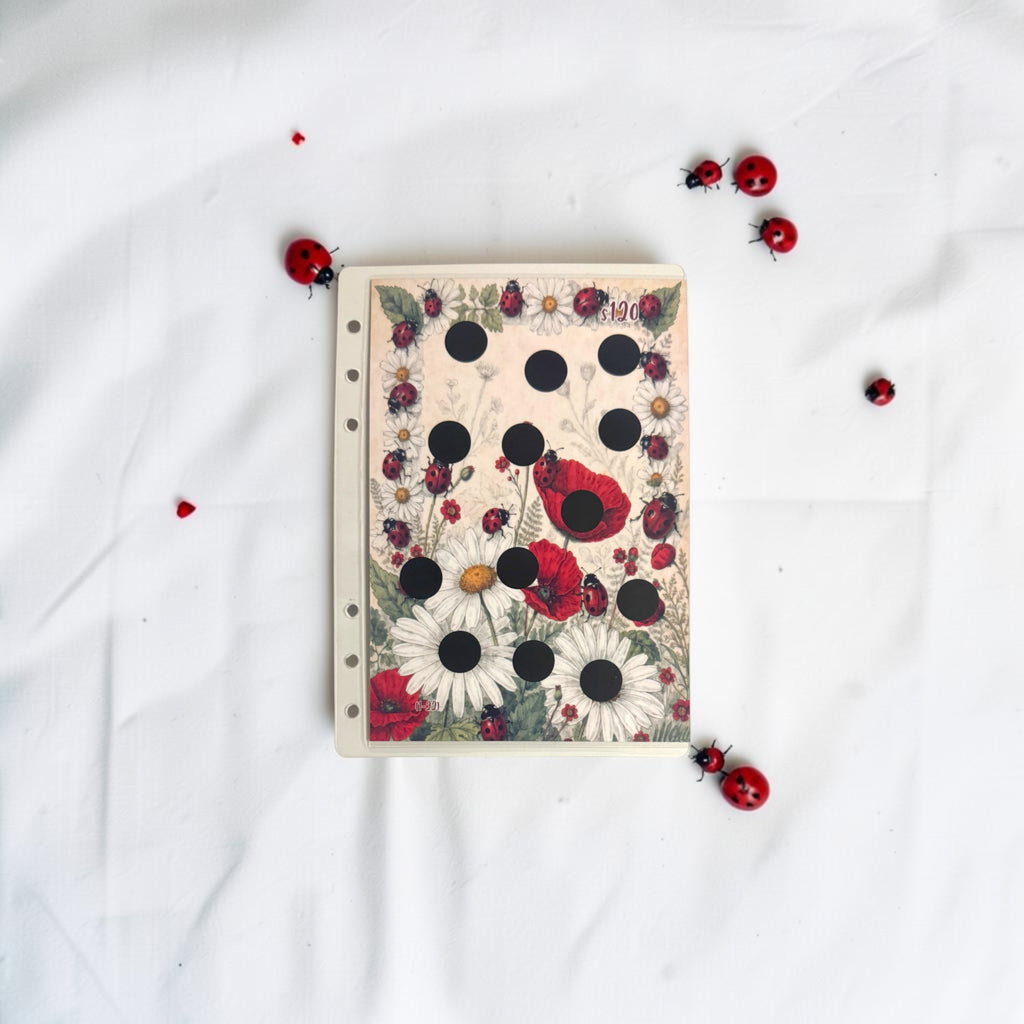 A5 Ladybug Savings Challenge