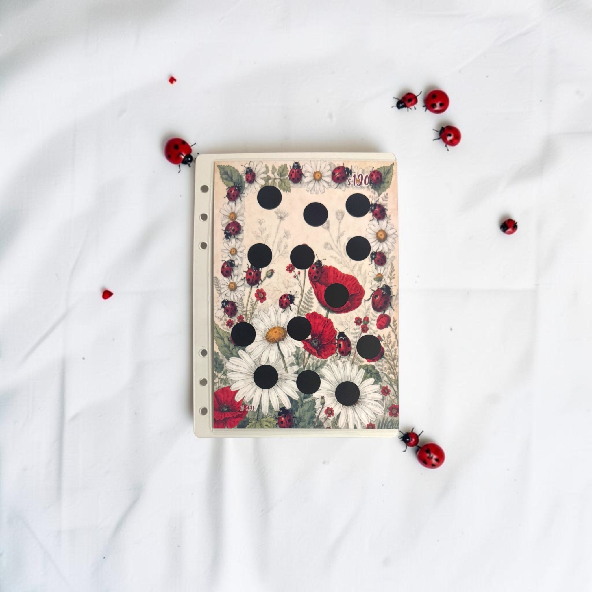 A5 Ladybug Savings Challenge