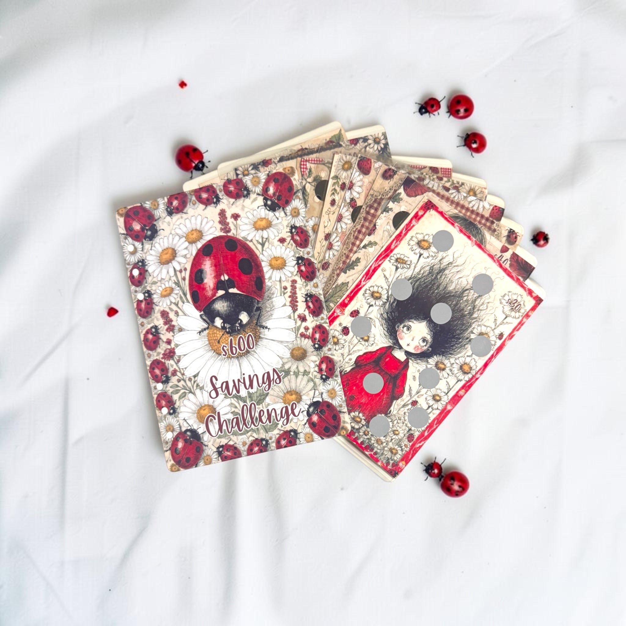 A5 Ladybug Savings Challenge